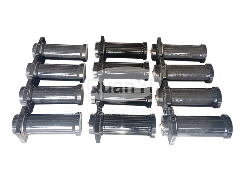 升降式电动轨道车专用油星空app登录入口-星空（中国）80/45-200